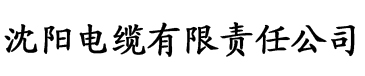 av无码久久久久久不卡网站电缆厂logo